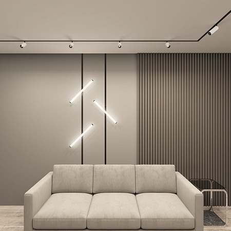 Светильник на шине Denkirs SMART SPOT DK8040-BW+BK - фото