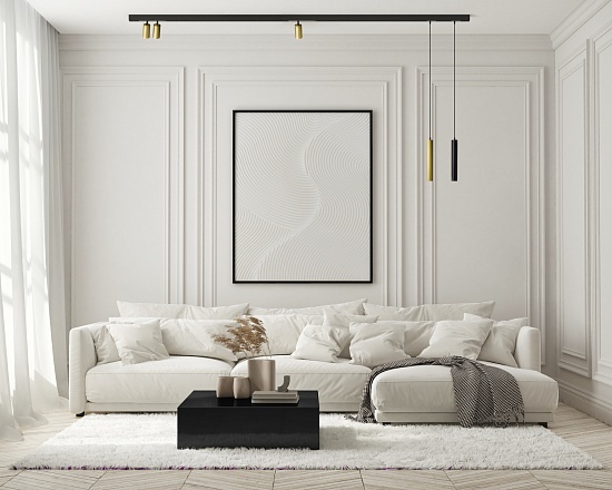 Светильник на шине Denkirs SMART SPOT DK8008-BG - фото