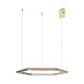 10016S Подвесной светильник LOFT IT Ring - фото