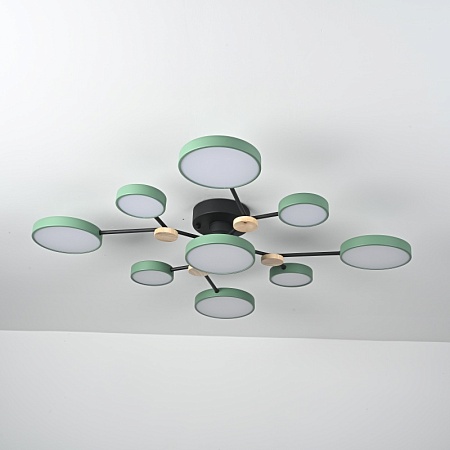 Потолочная Люстра Gamma D98 Green Imperiumloft 223772-23 - фото