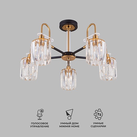 Потолочный светильник Eurosvet 70090/5 черный - фото