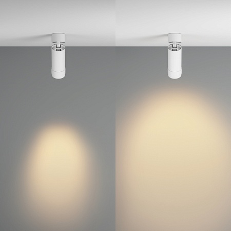 Потолочный светильник Technical C055CL-L12W2.7K-Z-W - фото