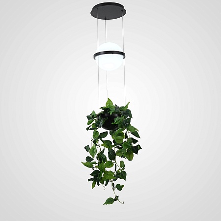 Подвесной Светильник Palma Wall Lamp Шар + Вазон Imperiumloft 168489-22 - фото