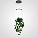 Подвесной Светильник Palma Wall Lamp Шар + Вазон Imperiumloft 168489-22 - фото
