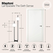 Напольный светильник (торшер) Maytoni Z020FL-L12BK