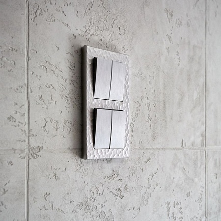 Рамка на 2 поста (серебряный) W0022406 - фото