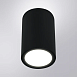 Уличный потолочный светильник Arte Lamp TORCULAR A1307PF-1BK - фото