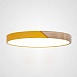 Потолочный Светильник Clip Yellow D50 Imperiumloft 193052-26 - фото