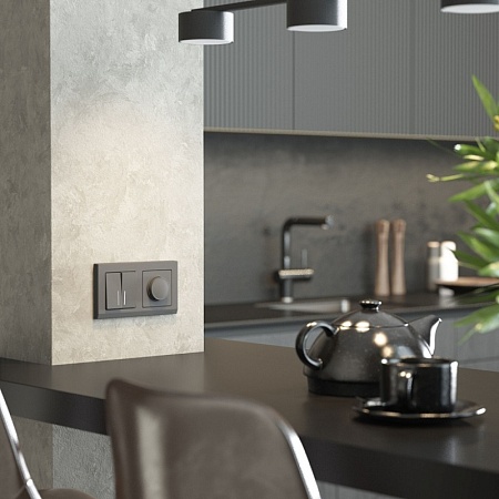 Диммер (графит матовый) W1142064 - фото