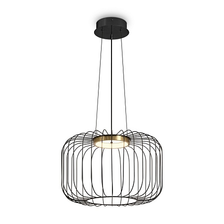 Подвесной светильник Freya CITRUS FR5398PL-L8B - фото