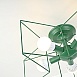Потолочная Люстра Asteri Green Imperiumloft 178357-26 - фото