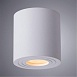 Точечный накладной светильник ARTE LAMP A1460PL-1WH - фото