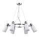 Светильник подвесной Хром/Белый E14 6*60W SLE1139-103-06 - фото