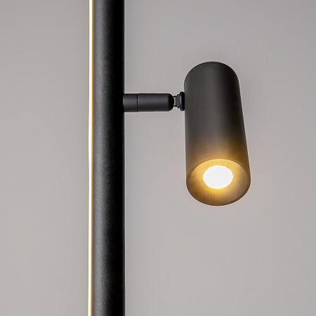 Напольный светильник (торшер) Maytoni Thin MOD395FL-L28B3K - фото