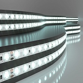 Светодиодная лента 24 В 9,6 Вт/м 120 Led/м 2835 IP65, холодный белый 6500K, 5 м Лента светодиодная 24V 9,6W 120Led 2835 IP65 холодный белый, 5м Elektrostandard