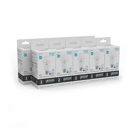 Светодиодная лампа Gauss A67 30W 2360Lm 4100K E27 73229 - фото