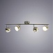 Спот Arte Lamp VENERD A6009PL-4SS - фото