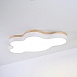Потолочный Светильник Cloud Eco D83 White Imperiumloft 189502-26 - фото