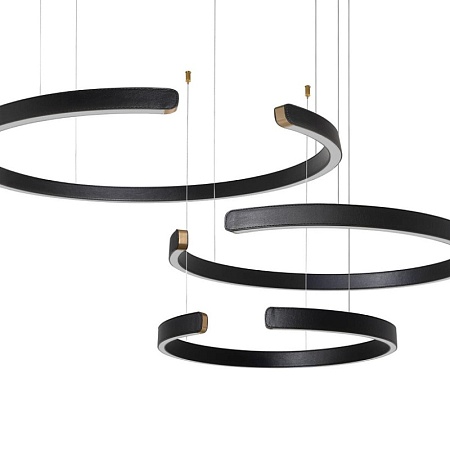 10025/3 Black Подвесной светильник LOFT IT Ring - фото