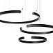 10025/3 Black Подвесной светильник LOFT IT Ring - фото