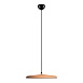 10119 Orange Подвесной светильник LOFT IT Plato - фото