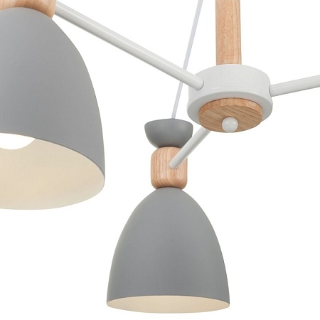 Потолочный светильник Freya Delia FR5033CL-05W - фото