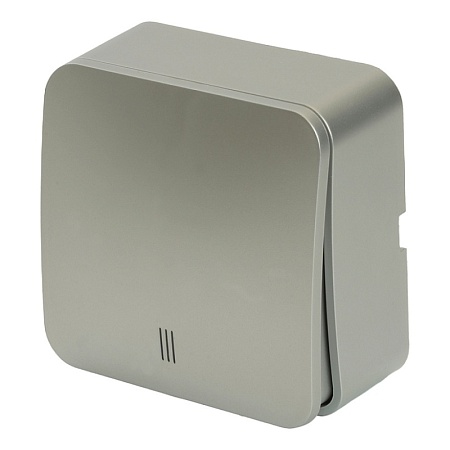 Выключатель открытой установки 1-клавишный с индикатором, STEKKER, 250В, 10А, IP20, серия София, серебро, MSW10-11-20-03 - фото