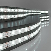 Светодиодная лента 24 В 4,8 Вт/м 60 Led/м 2835 IP65, холодный белый 6500K, 5 м Лента светодиодная 24V 4,8W 60Led 2835 IP65 холодный белый, 5м Elektrostandard