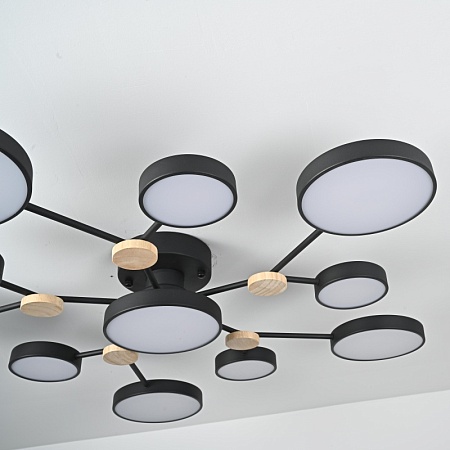 Потолочная Люстра Gamma D102 Black Imperiumloft 223770-23 - фото