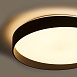 Потолочный светильник Freya FR6222CL-L84B - фото