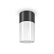 Потолочный светильник Outdoor Willis O418CL-01B - фото