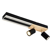 Потолочный светильник F-Promo 4437-2C