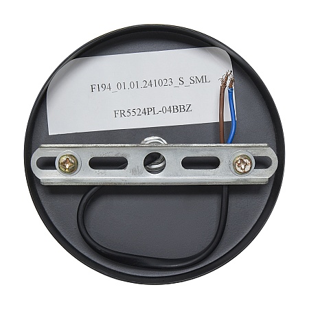 Подвесной светильник Freya FR5524PL-04BBZ - фото