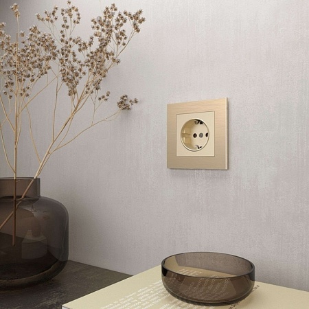 Рамка из металла на 1 пост Аluminium шампань алюминий W0011711 - фото