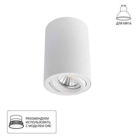 Точечный накладной светильник Arte Lamp SENTRY A1560PL-1WH - фото