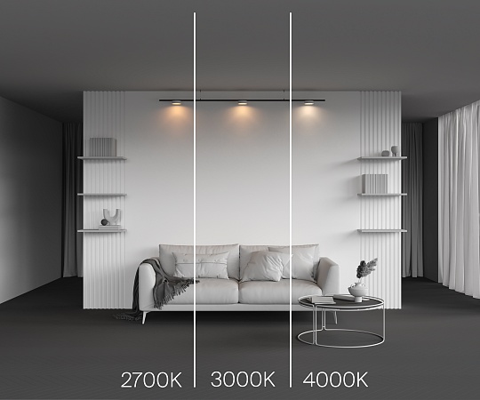 Трековый светильник Technical Zon TR189-1-12W2.7K-BW - фото