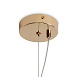 Подвесной светильник Freya FR1019PL-09G1 - фото