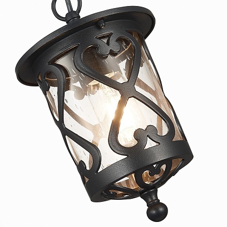 Светильник уличный подвесной ST-Luce Черный/Черный, Прозрачный E27 1*60W SL085.403.01 - фото