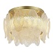 Светильник потолочный ST-Luce золото/прозрачный, янтарный LED 1*20W 3000K SL6135.202.01 - фото