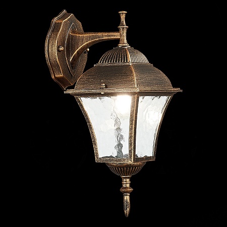 Светильник уличный настенный ST-Luce Бронза/Бронза, Прозрачный E27 1*60W SL082.211.01 - фото