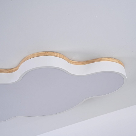 Потолочный Светильник Cloud Eco D83 White Imperiumloft 189502-26 - фото