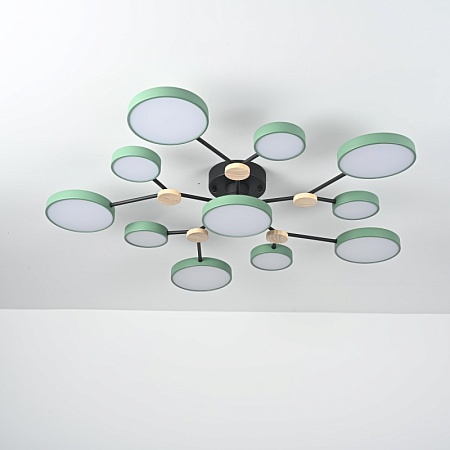 Потолочная Люстра Gamma D102 Green Imperiumloft 223773-23 - фото