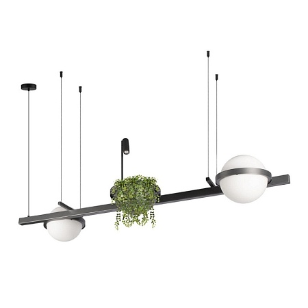 10121/D Dark grey Подвесной светильник LOFT IT Jardin - фото