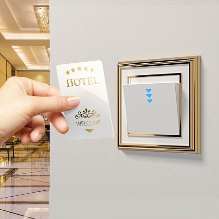 Рамка на 1 пост (золото/белый) W0011329 - фото