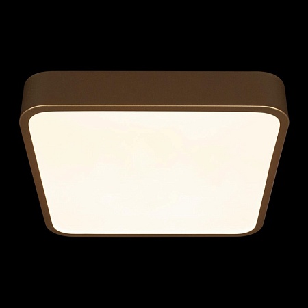 10228/C Потолочный светильник LOFT IT Flims - фото