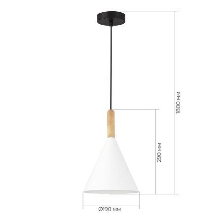 Светильник подвесной Черный/Белый E27 1*40W SLE1255-413-01 - фото