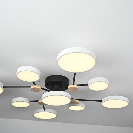 Потолочная Люстра Gamma D98 White Imperiumloft 223762-23 - фото