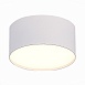 Светильник потолочный Белый LED 1*12W 3000K 1 080Lm Ra>85 120° IP20 D120xH55 185-265V ST606.532.12 - фото