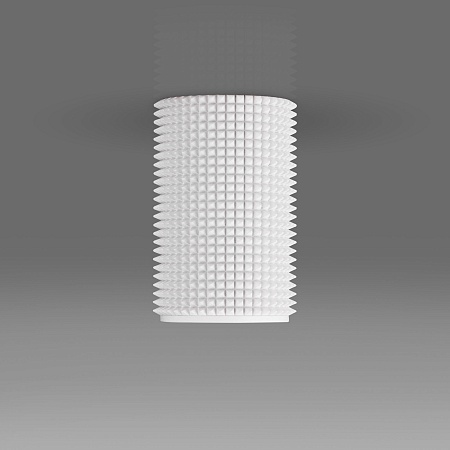 Накладной акцентный светильник DLN112 GU10 Elektrostandard - фото