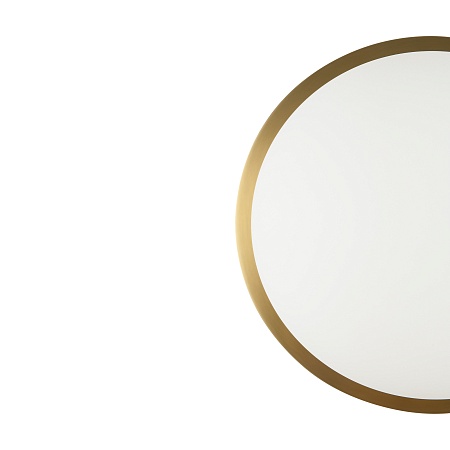 Настенный светильник (бра) Freya Zelda FR5125WL-01BS - фото